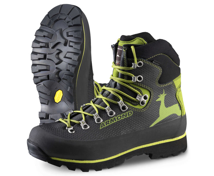 -SCARPONE- ARMOND -Piz- Palù- 2555 HV